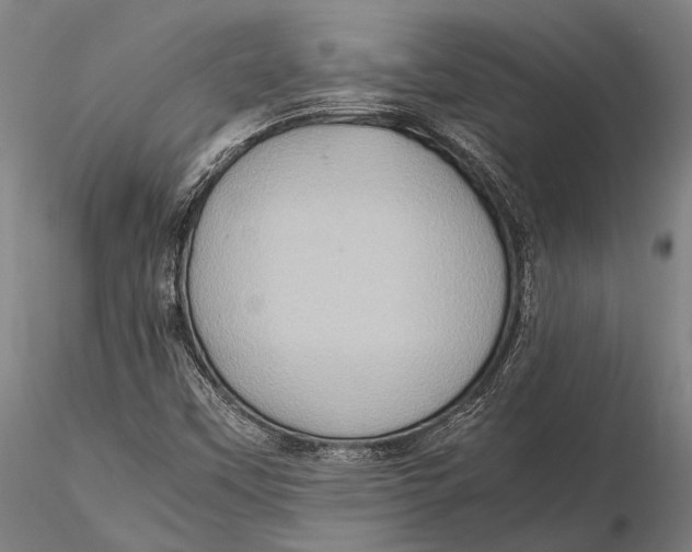 X0000115391451200912011218