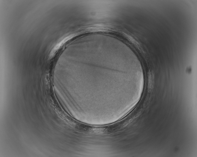 X0000115391453200912011218