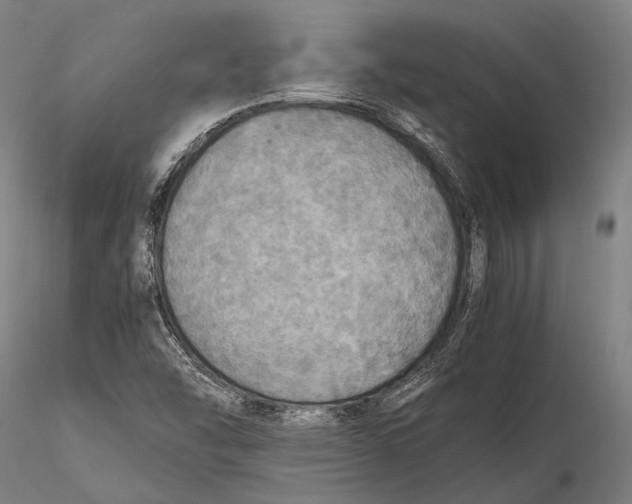 X0000115391454200912011218