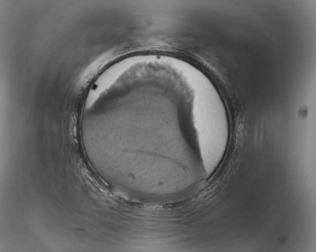 X0000115391455200912011217