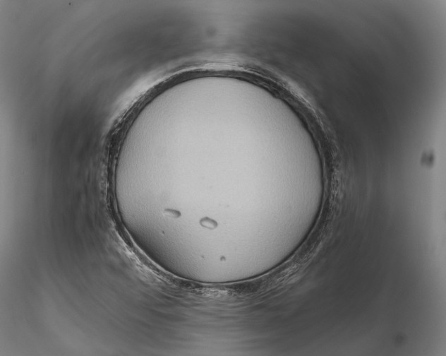 X0000115391456200912011217