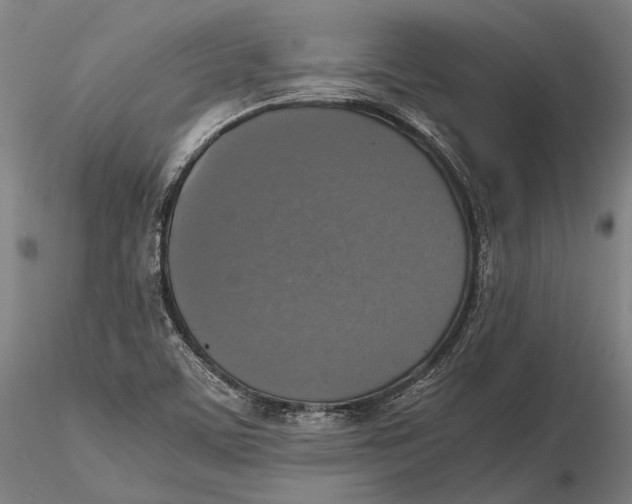 X0000115391459200912011217