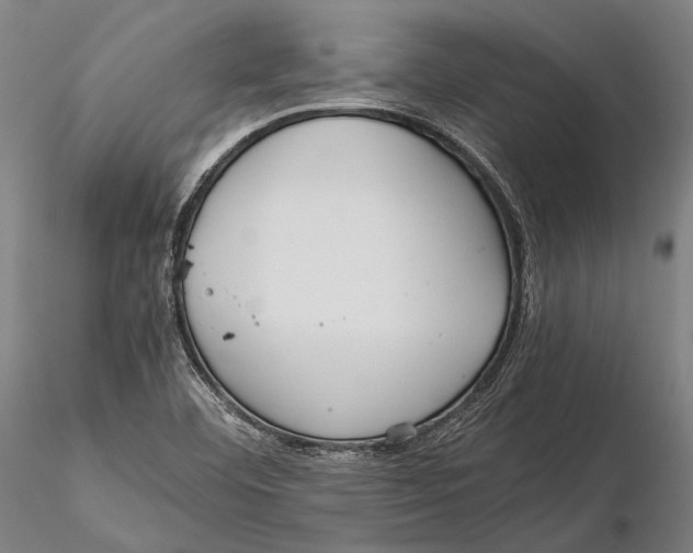 X0000115391460200912011217