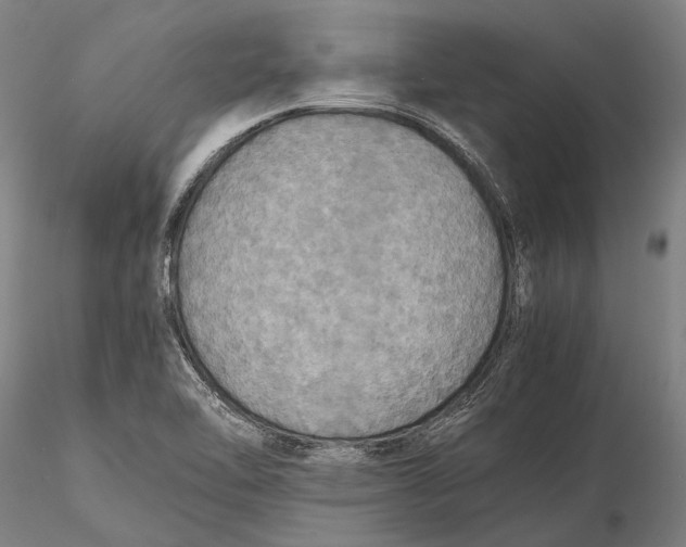 X0000115391462200912011217