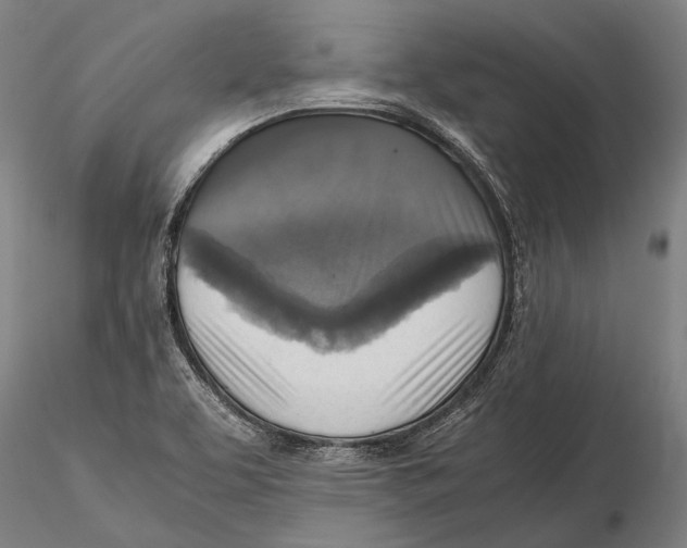 X0000115391463200912011217