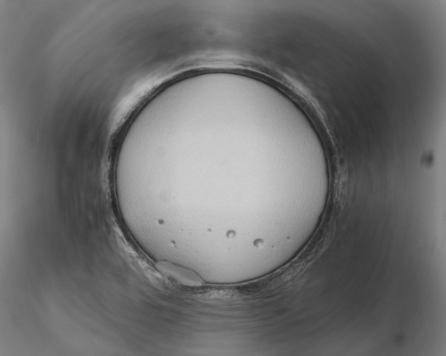 X0000115391464200912011217