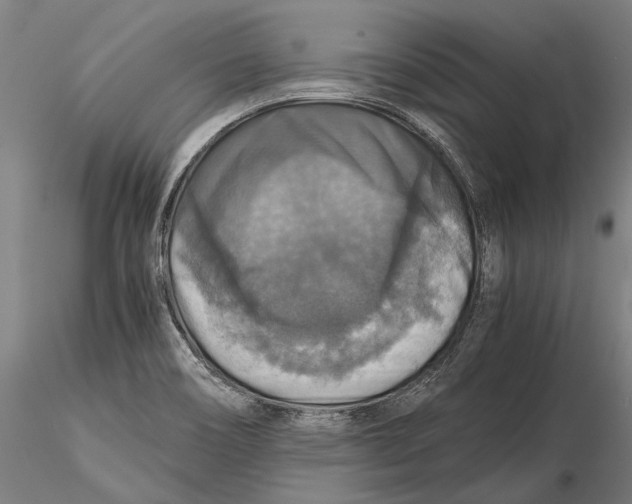 X0000115391466200912011217