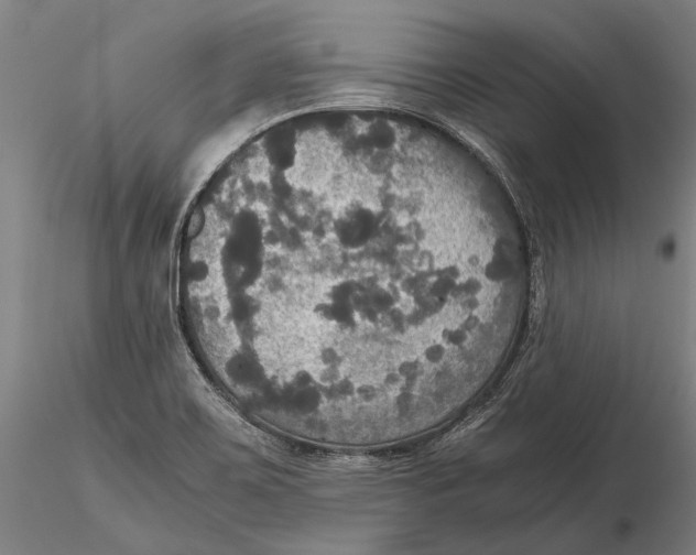 X0000115391467200912011217