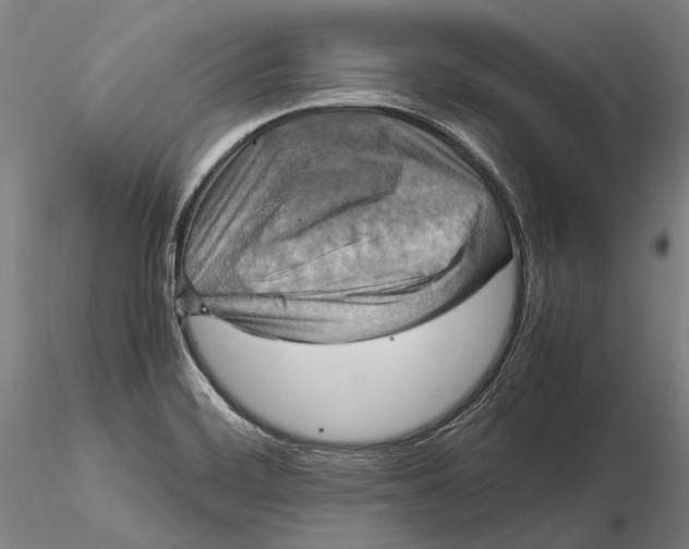 X0000115391468200912011217