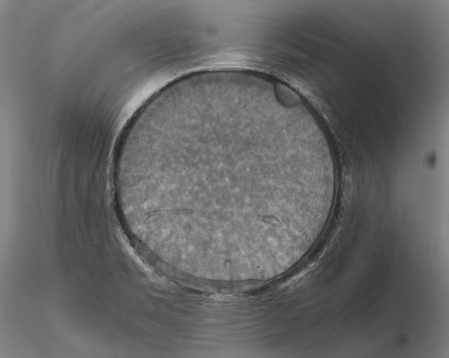 X0000115391469200912011217