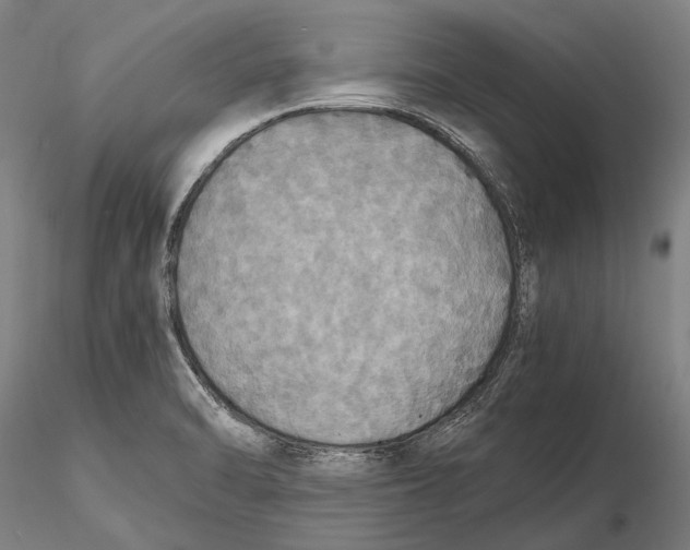 X0000115391470200912011217