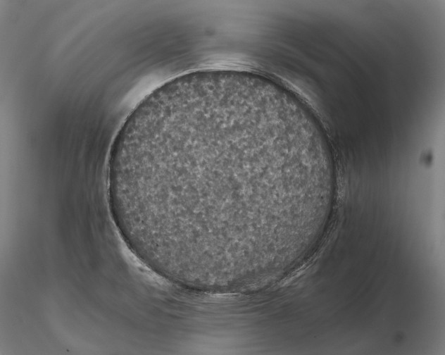 X0000115391471200912011217