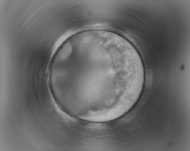 X0000115391474200912011217