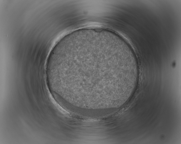 X0000115391475200912011217