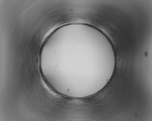 X0000115391476200912011217