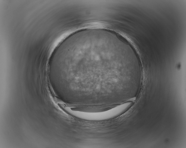 X0000115391477200912011217