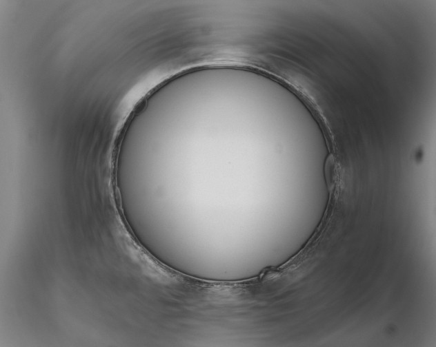 X0000115391480200912011217