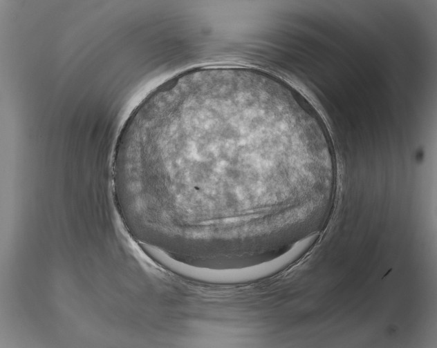 X0000115391485200912011217