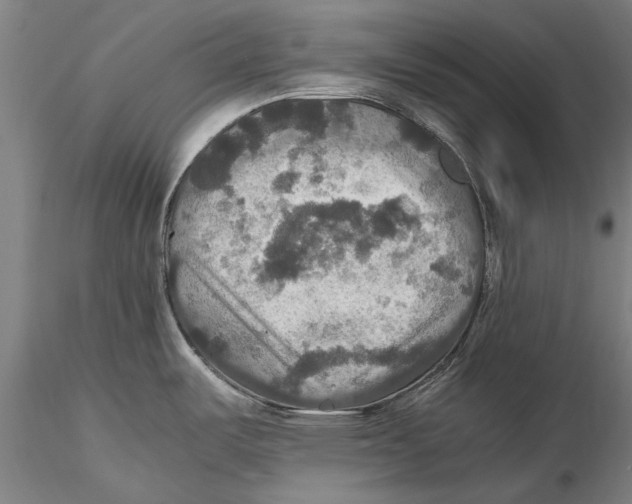 X0000115391487200912011217