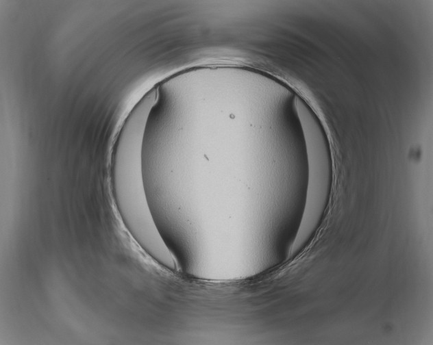 X0000115391488200912011217