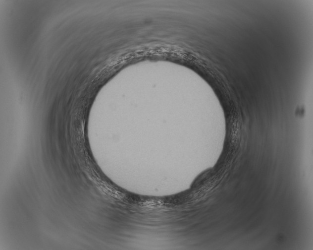 X0000115391489200912011216