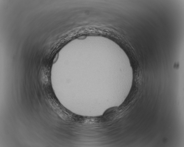 X0000115391490200912011216