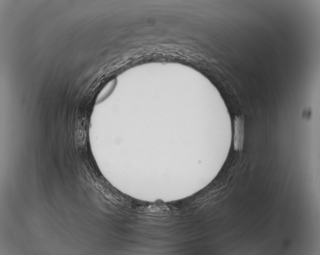 X0000115391491200912011216