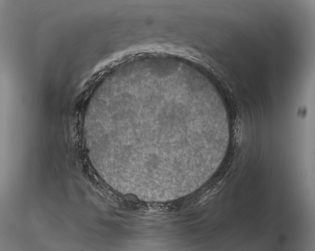 X0000115391494200912011216