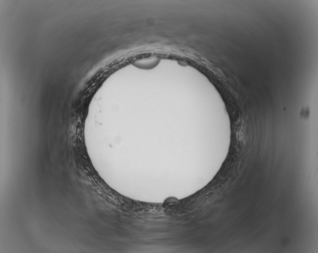 X0000115391495200912011216