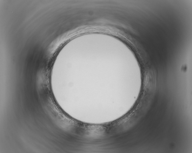 X0000115391498200912011217