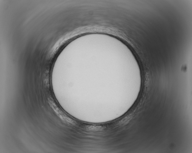 X0000115391499200912011217