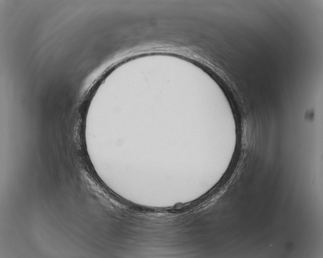 X0000115391502200912011217