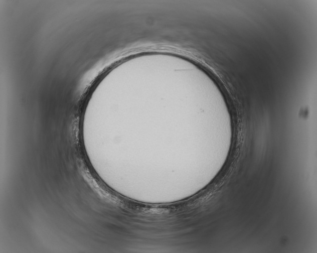 X0000115391503200912011217