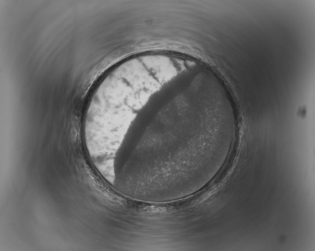 X0000115391505200912011217