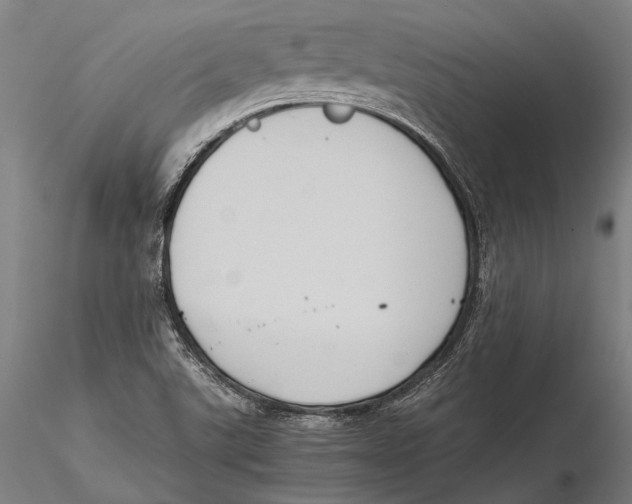 X0000115391507200912011217