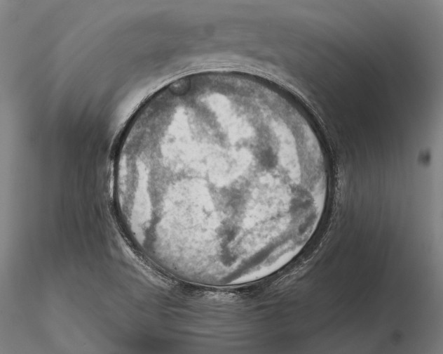 X0000115391509200912011217