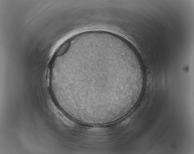 X0000115391510200912011217