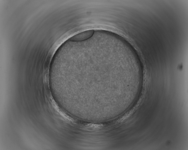 X0000115391513200912011217