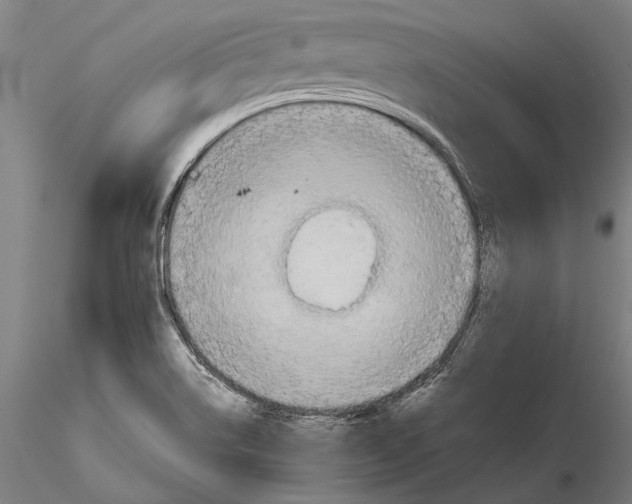 X0000115391514200912011217