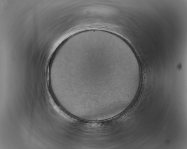 X0000115391515200912011217