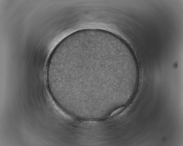 X0000115391517200912011217