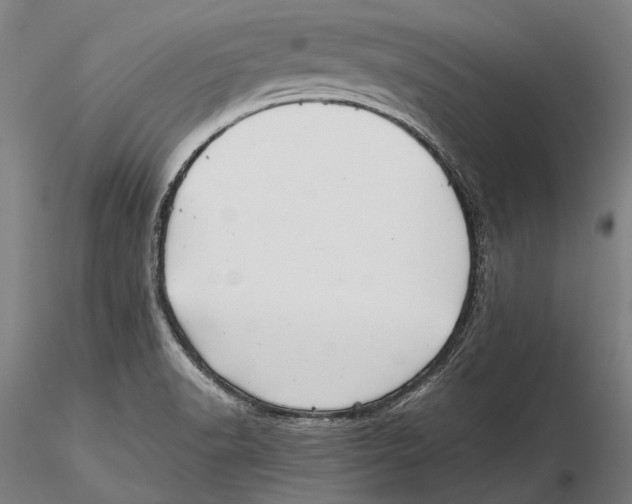 X0000115391518200912011217