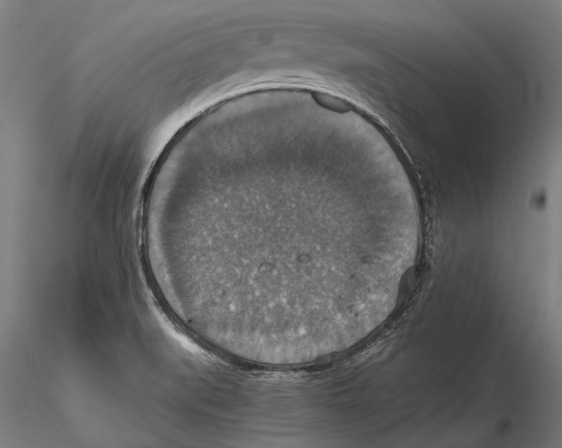 X0000115391519200912011217