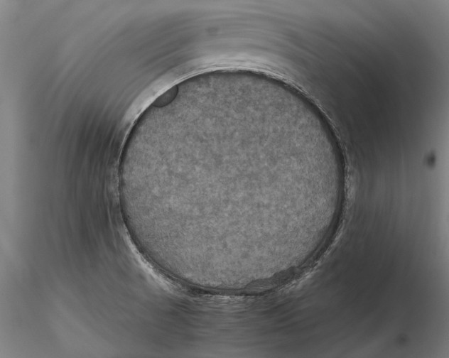 X0000115391521200912011217