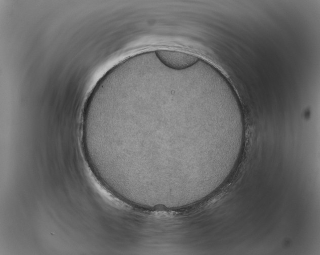 X0000115391523200912011217