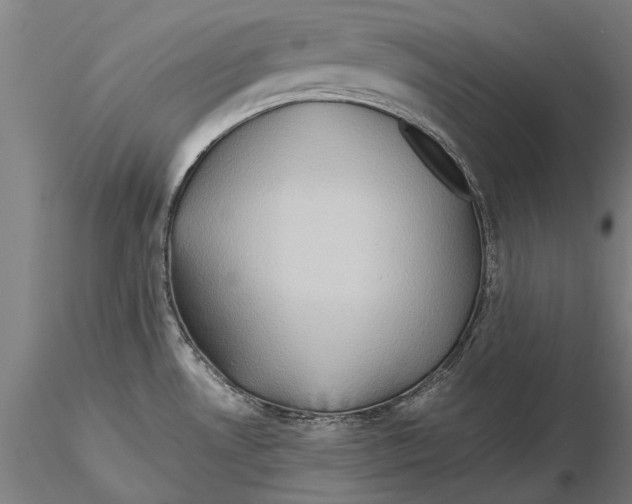 X0000115391530200912011217