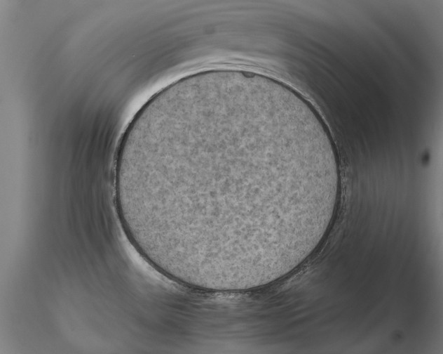 X0000115391531200912011217