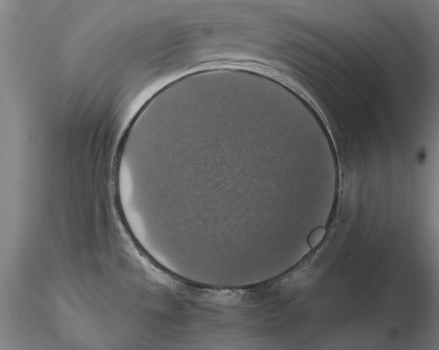 X0000115391533200912011217