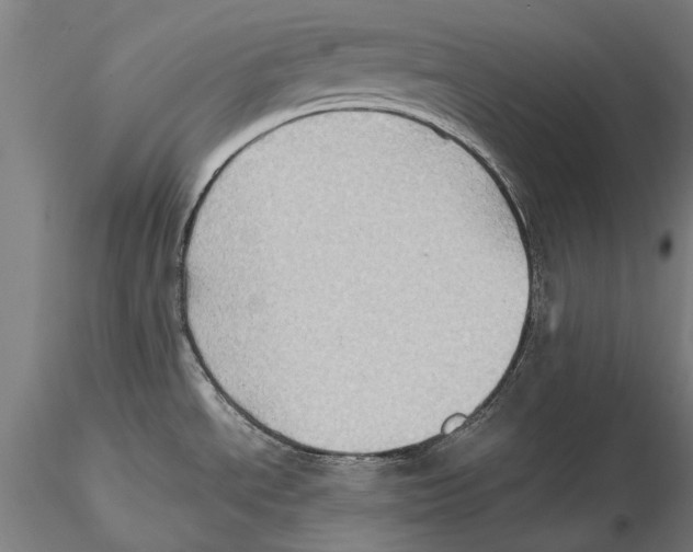 X0000115391534200912011217