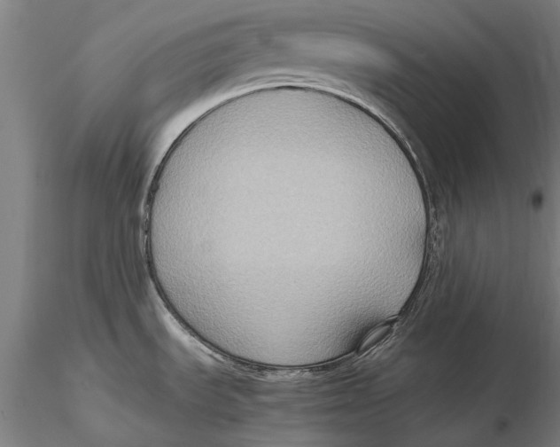 X0000115391535200912011217